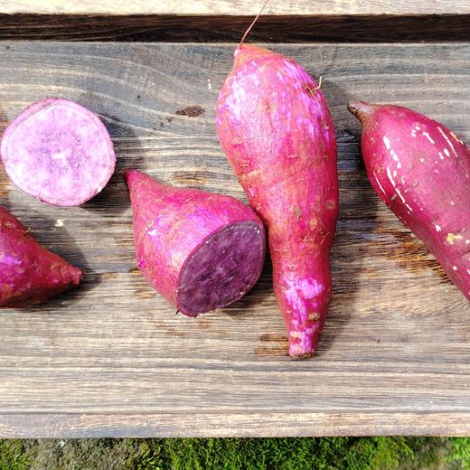 生态紫薯&黄金蜜薯（红薯）| 合作生产 | 基地直发|  * Ecological purple sweet potato & golden honey sweet potato 商品图2
