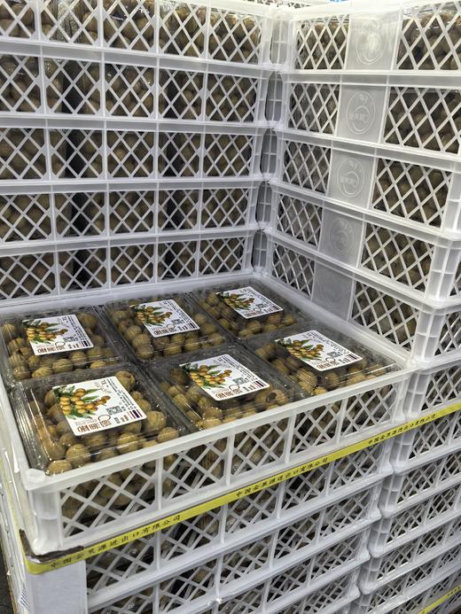 泰国龙眼8.5元1盒约1斤，明天到 商品图6