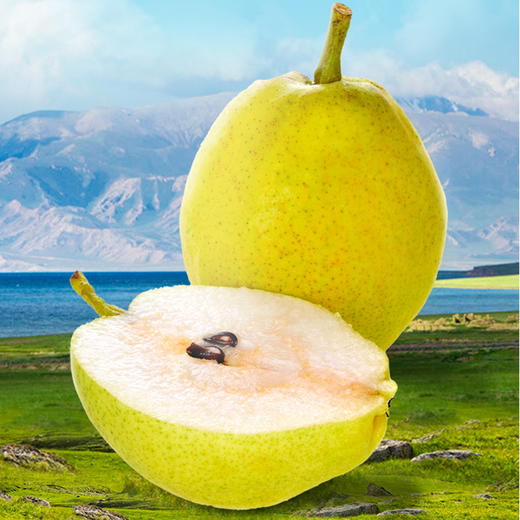 【疆果乐 新鲜水果】新疆库尔勒香梨(顺丰陆运，接单后48小时内发出，出单号后5-7天到货) 商品图4