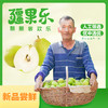【疆果乐 新鲜水果】新疆库尔勒香梨(顺丰陆运，接单后48小时内发出，出单号后5-7天到货) 商品缩略图1