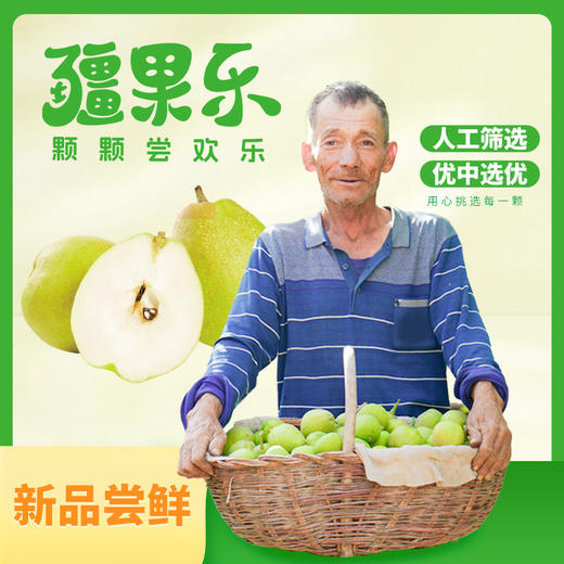 【疆果乐 新鲜水果】新疆库尔勒香梨(顺丰陆运，接单后48小时内发出，出单号后5-7天到货) 商品图1
