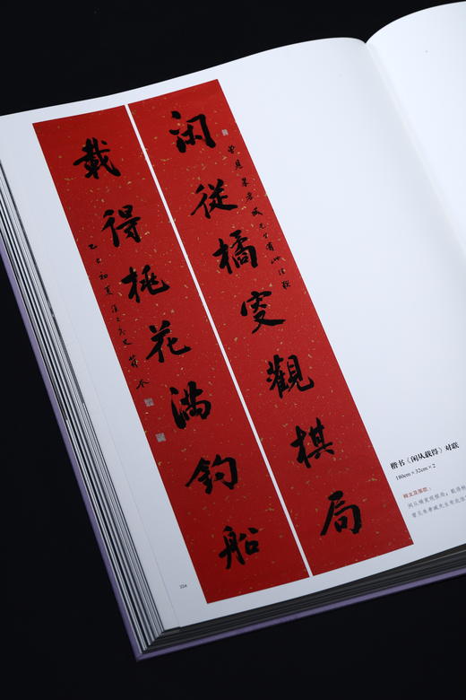 风华正茂——全国中青年书法名家十一人作品集（第三辑） 商品图6