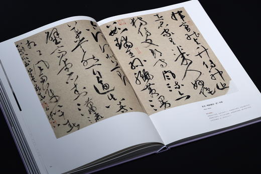 风华正茂——全国中青年书法名家十一人作品集（第三辑） 商品图8