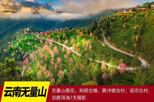 12月2日【云南】无量山樱花、和顺古镇、腾冲银杏村、诺邓古村、双廊洱海7天摄影 商品图0