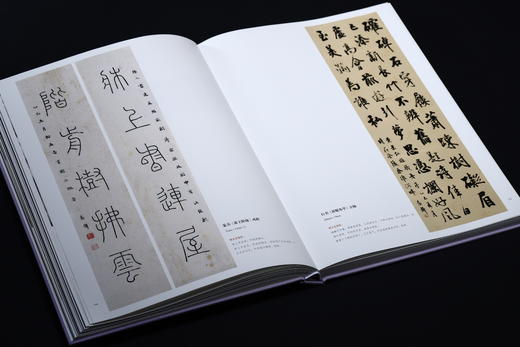 风华正茂——全国中青年书法名家十一人作品集（第三辑） 商品图7