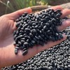 【陕北黑豆】陕北沟壑高原的深厚黄土层、年均超2500小时强日照，赋予黑豆高密度营养积累，全程农家肥种植，保留原始肾型特征，▶黑皮黄心，颗粒饱满，更易吸收营养 商品缩略图4