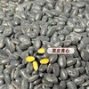 【陕北黑豆】陕北沟壑高原的深厚黄土层、年均超2500小时强日照，赋予黑豆高密度营养积累，全程农家肥种植，保留原始肾型特征，▶黑皮黄心，颗粒饱满，更易吸收营养 商品缩略图3