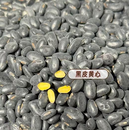 【陕北黑豆】陕北沟壑高原的深厚黄土层、年均超2500小时强日照，赋予黑豆高密度营养积累，全程农家肥种植，保留原始肾型特征，▶黑皮黄心，颗粒饱满，更易吸收营养 商品图3