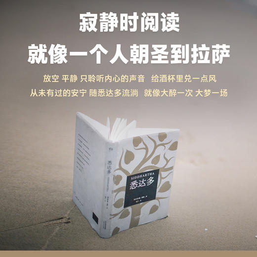 悉达多 畅销全球7年，影响千万青年。翻译家姜乙作品，德文直译，豆瓣评分9.4 商品图4