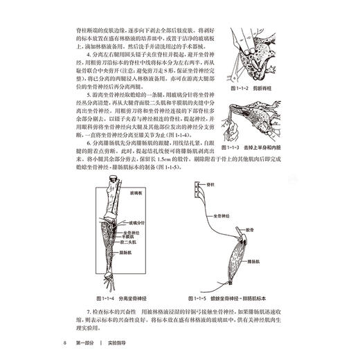 正常人体功能学习指导 十四五规划教材 全国高等职业教育专科配套教材 闫长虹 陈雅隽 主编 9787117381499 人民卫生出版社 商品图4