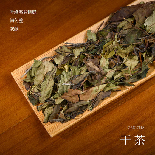 懂茶帝老白茶福鼎白茶高山茶磻溪吴洋山2021年菜茶松风素眉100g 商品图1