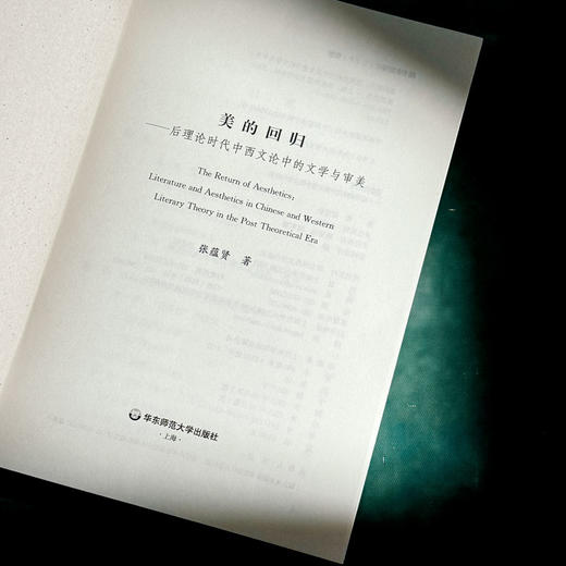美的回归 后理论时代中西文论中的文学与审美 张蕴贤 商品图5