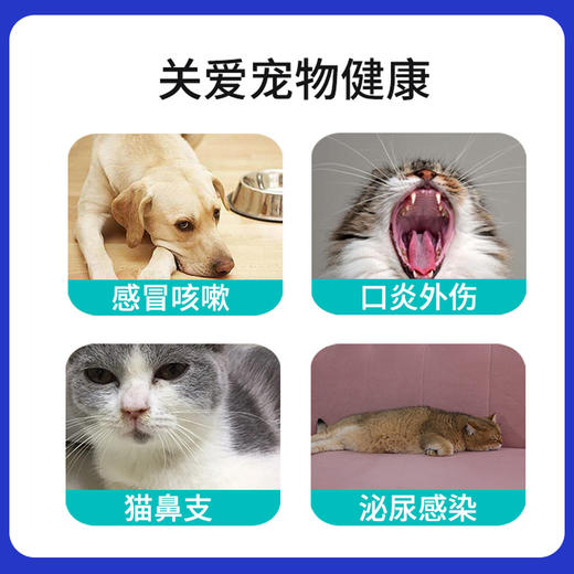 汉维宠仕多康欣宠物盐酸多西环素片狗感冒药咳嗽猫咪结膜炎猫鼻支 商品图1