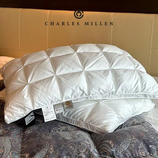 预售 10 天【Charles Millen】CM加拿大进口大白鹅加厚冬被/CM加拿大进口4Dbox白鹅绒枕 商品图6