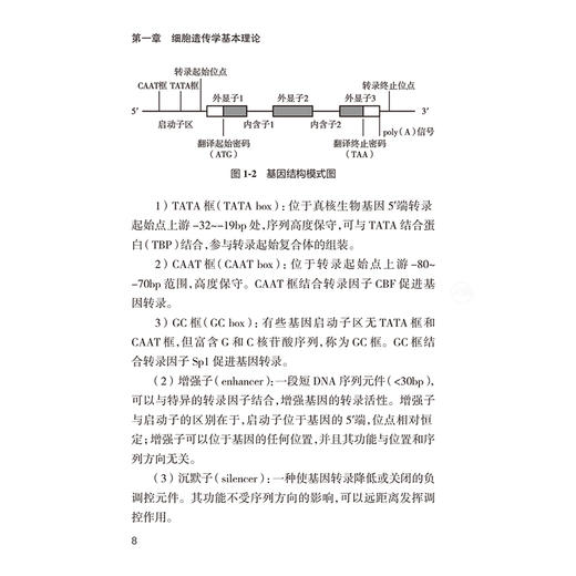 细胞遗传学实验室操作手册 谢小雷 主编 适用于细胞遗传临床实验室技术人员、科研人员以及实验室管理者参考使用 人民卫生出版社 商品图4