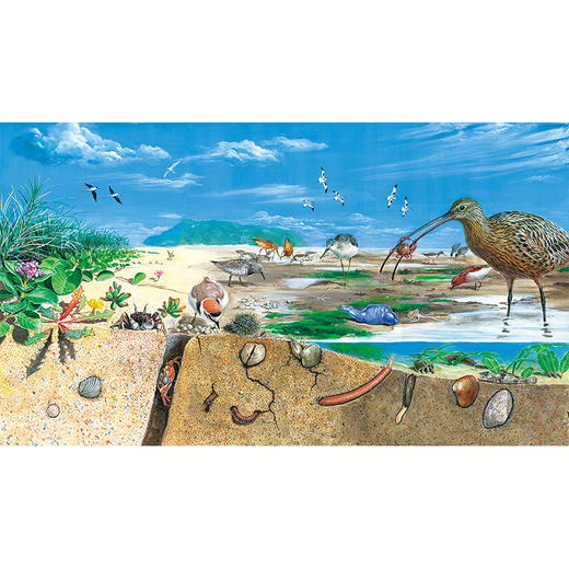 博物文创 “天地万物返本真”博物科普礼盒 博物君式科普 10年科普秘籍 商品图4