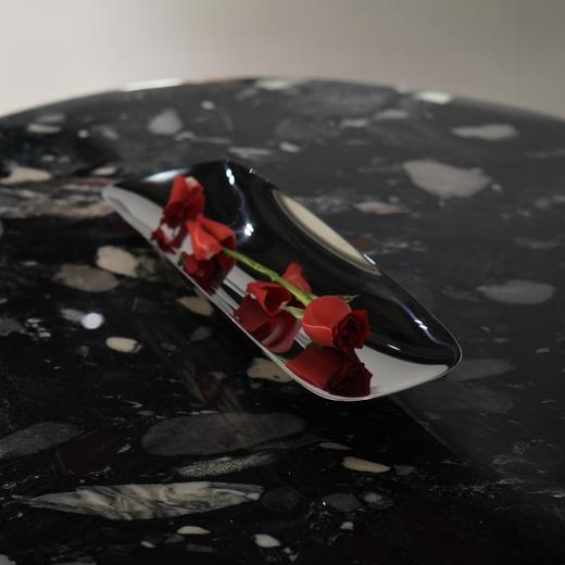 HD流光精抛不锈钢长果盘 RESONG日诵家居 长托盘 商品图8