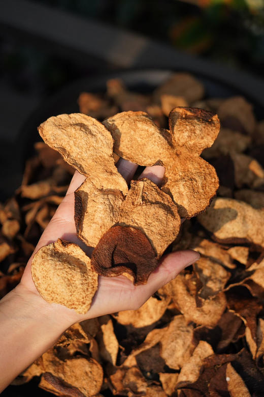 新会陈皮2013东甲.断片250克装 商品图0