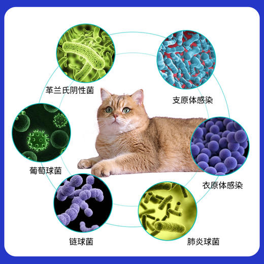 汉维宠仕多康欣宠物盐酸多西环素片狗感冒药咳嗽猫咪结膜炎猫鼻支 商品图3
