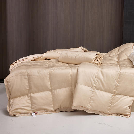 多喜爱 金羽朵95进口白鹅绒冬被/白鹅绒桑蚕丝子母被 -鎏光暖域/栖金枕月hl【95%绒子含量】【1000+清洁度】【波兰进口】【60S兰精天丝】【贡缎面料】银丝提花工艺 3D航空舱  10CM开口 商品图12