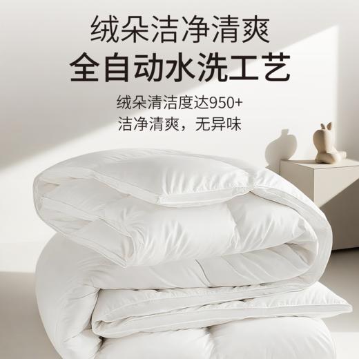 【专享】笙观相沐鹅绒被 95%绒子含量 大朵白鹅绒填充 高蓬饱满 轻盈保暖 商品图2