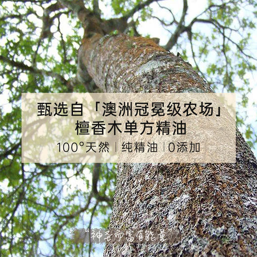 保税直发 CANVAS 卡芬诗 檀香木单方香薰精油 5mL 商品图2