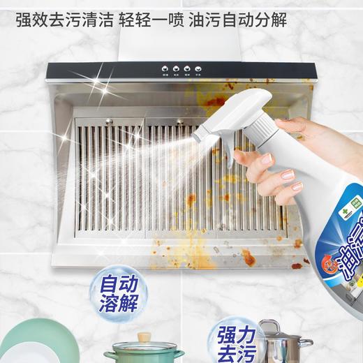 云梦供销 钦洁狮油污净500g/瓶 商品图4