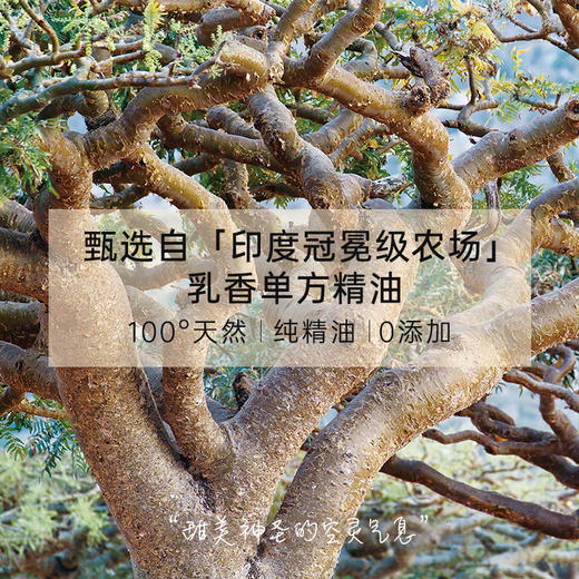 保税直发 CANVAS 卡芬诗  乳香单方香薰精油 12mL 商品图2