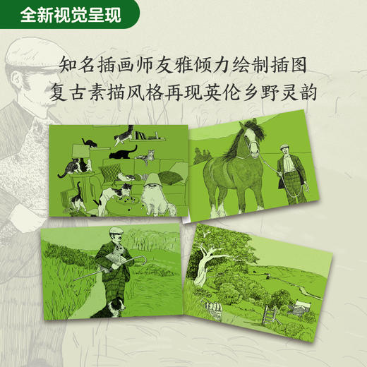 自然写作经典沉浸疗愈身心：万物有灵+吉他羊奶+猫的故事精装3册 商品图4