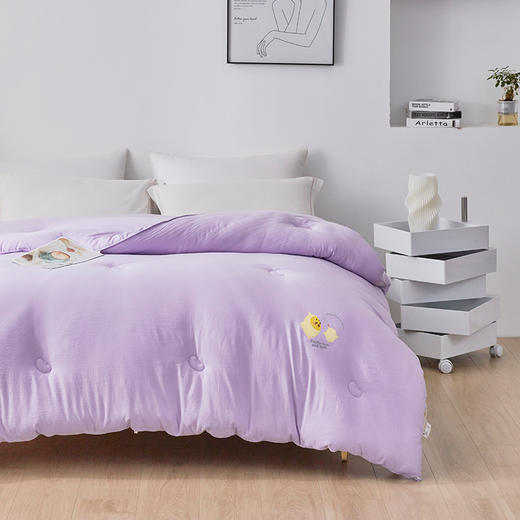 【商超爆款】丝享大豆纤维被200*230cm 克重2000g 商品图1