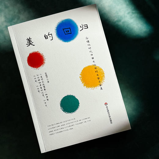 美的回归 后理论时代中西文论中的文学与审美 张蕴贤 商品图4