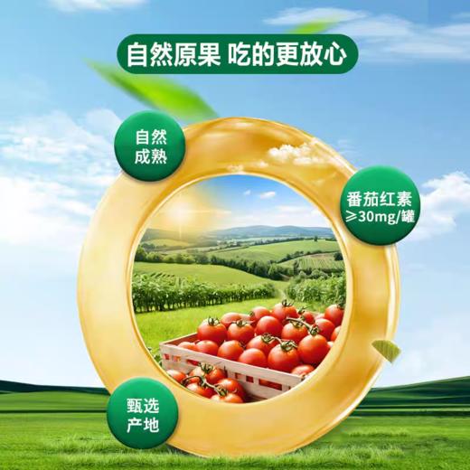 25年新疆番茄块西红柿块丁 去皮番茄丁 商品图2