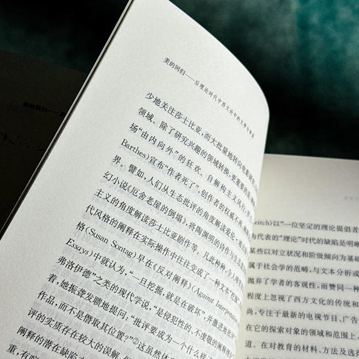美的回归 后理论时代中西文论中的文学与审美 张蕴贤 商品图8