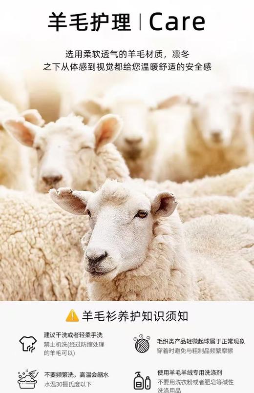 100%澳洲羊毛小禾无缝一体半高领羊毛衫 商品图13