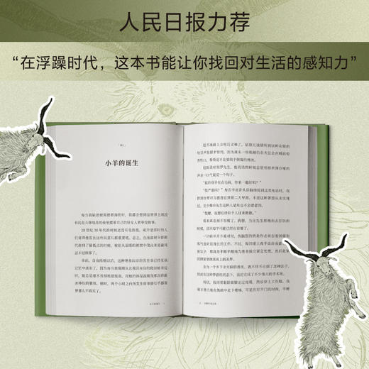 自然写作经典沉浸疗愈身心：万物有灵+吉他羊奶+猫的故事精装3册 商品图3