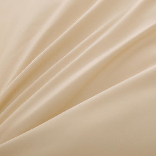 【商超爆款】丝享澳洲进口羊毛复合冬被小眠羊款 琥珀茶 商品图6