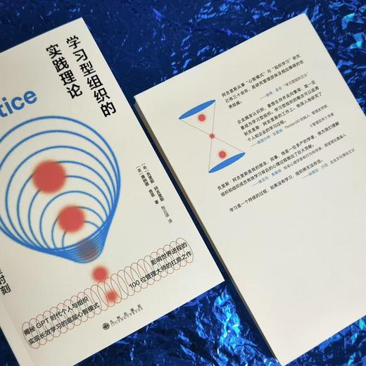 学习型组织的实践理论 自我成长励志企业组织管理学大众经管书籍 后浪正版 商品图2