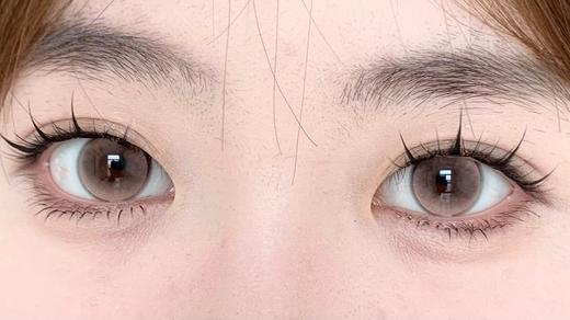 Allecon年抛 · 莫奈玫瑰· 14.2mm白狮参考着色中大直径 韩产年抛2片 商品图2