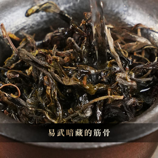 【弯弓凤凰窝】2025年头春茶，易武弯弓原始秘境中的茶香产量稀缺的珍贵佳茗品味世外桃源中的味觉盛宴，500克/箱 拍1箱发2箱 商品图2