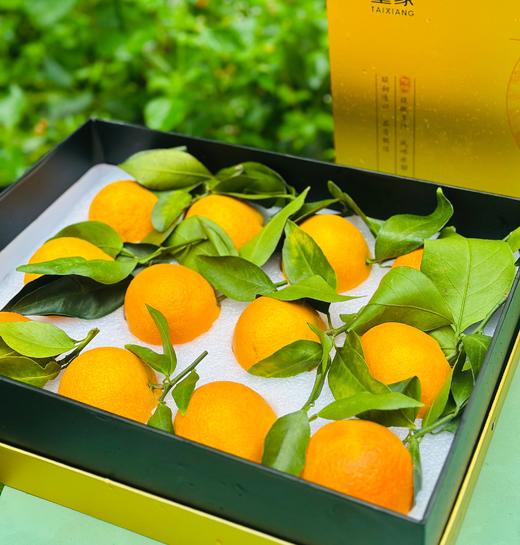 红美人柑橘|今年的首批红美人上市啦👏皮薄肉嫩，清香又清甜，果冻般的口感，第一批就有这样的口感很不错啦~ 商品图6