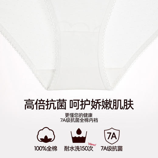 3条118元好奇蜜斯性感纯欲三角内裤女纯棉7A抗菌裆低腰透气不夹臀  伊琳娜、桑德、克来曼汀内裤 商品图2