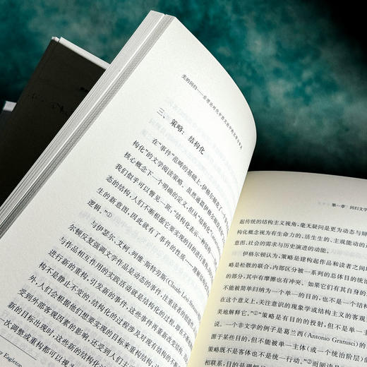 美的回归 后理论时代中西文论中的文学与审美 张蕴贤 商品图13