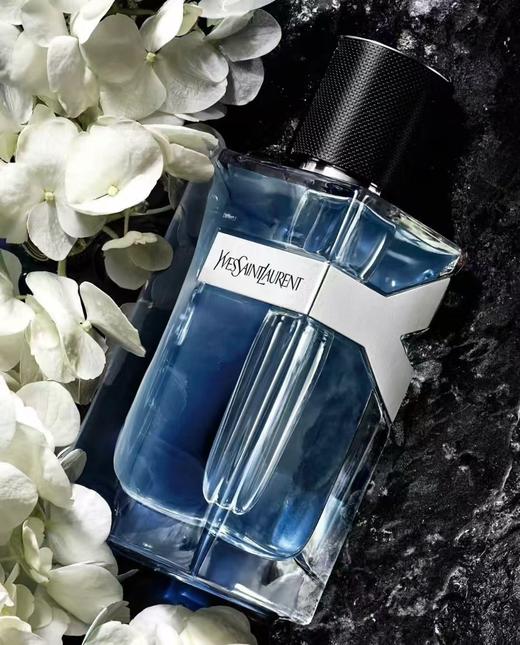 阳光的治愈系男友香圣罗兰男士先锋浓香水 商品图0