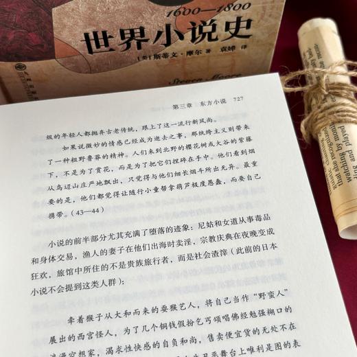 世界小说史:1600-1800  收录400多部作品 文学写作研究 商品图3