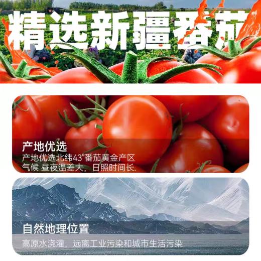 25年新疆番茄块西红柿块丁 去皮番茄丁 商品图1