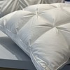 预售 10 天【Charles Millen】CM加拿大进口大白鹅加厚冬被/CM加拿大进口4Dbox白鹅绒枕 商品缩略图7