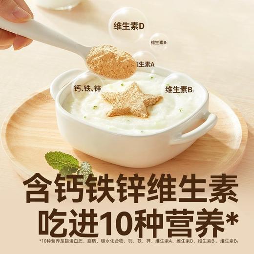 秋田满满婴幼儿强化铁猪肝粉40g 商品图4