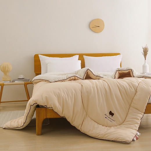 【商超爆款】丝享澳洲进口羊毛复合冬被小眠羊款 琥珀茶 商品图3