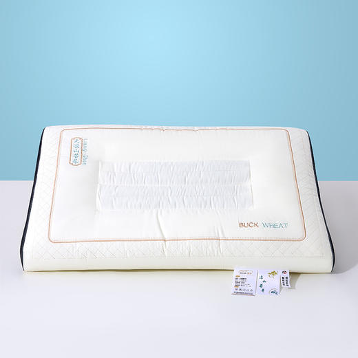 麦上家居MAYSEA｜草本养生大凉山苦荞枕整晚睡出云朵般的松弛感 商品图0