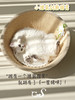 CatS猫家具 雏菊剑麻猫窝 可抓可躺超可爱 商品缩略图2